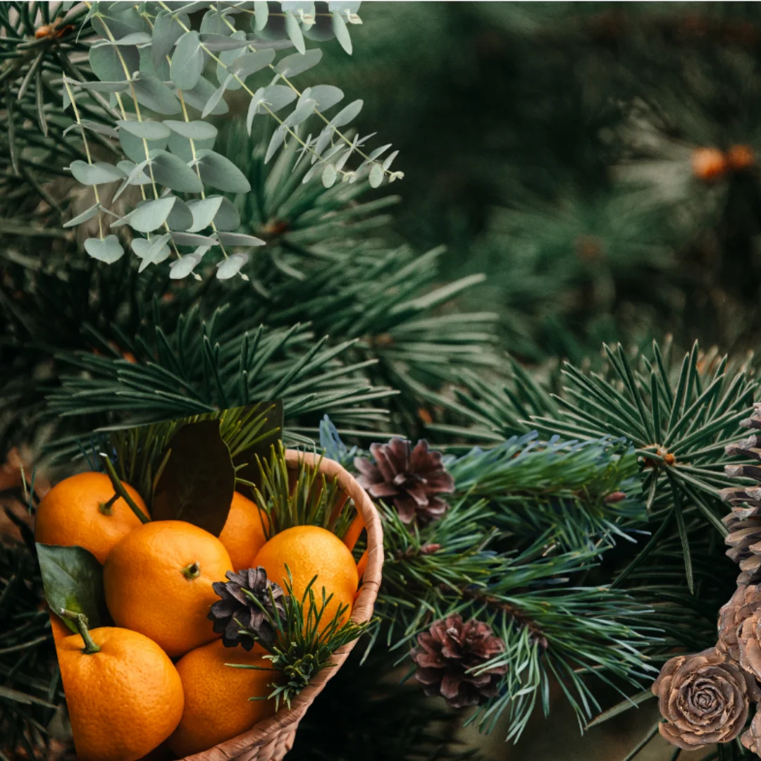 Aspen Pine Scented Candle - Image 2