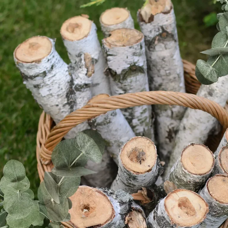 White Birch Scented Candle - Image 2